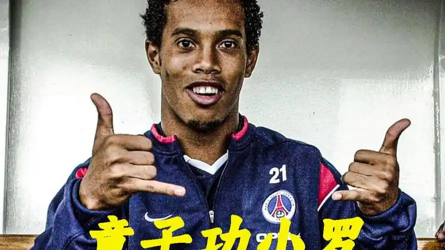 適當借鑑過
